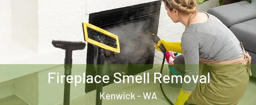 Fireplace Smell Removal Kenwick - WA