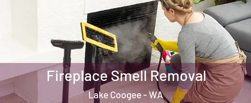 Fireplace Smell Removal Lake Coogee - WA