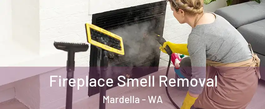 Fireplace Smell Removal Mardella - WA