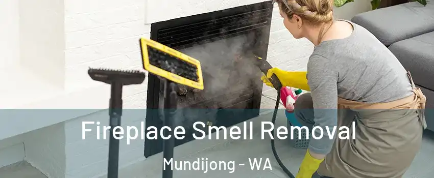 Fireplace Smell Removal Mundijong - WA