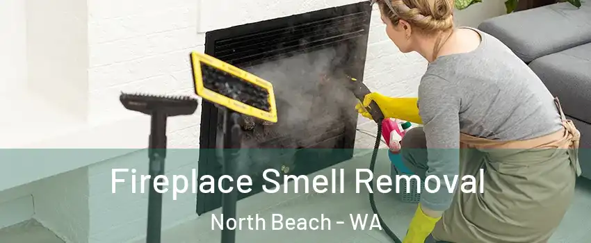 Fireplace Smell Removal North Beach - WA