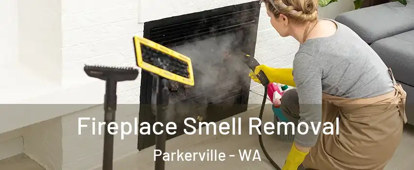 Fireplace Smell Removal Parkerville - WA