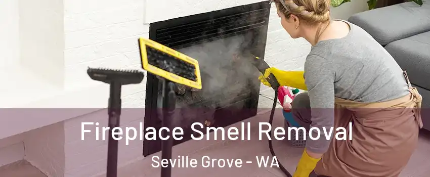 Fireplace Smell Removal Seville Grove - WA