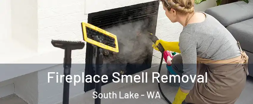Fireplace Smell Removal South Lake - WA