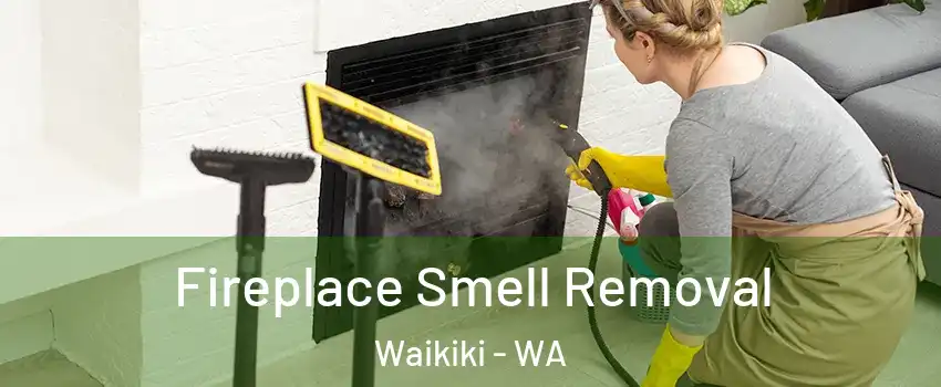 Fireplace Smell Removal Waikiki - WA
