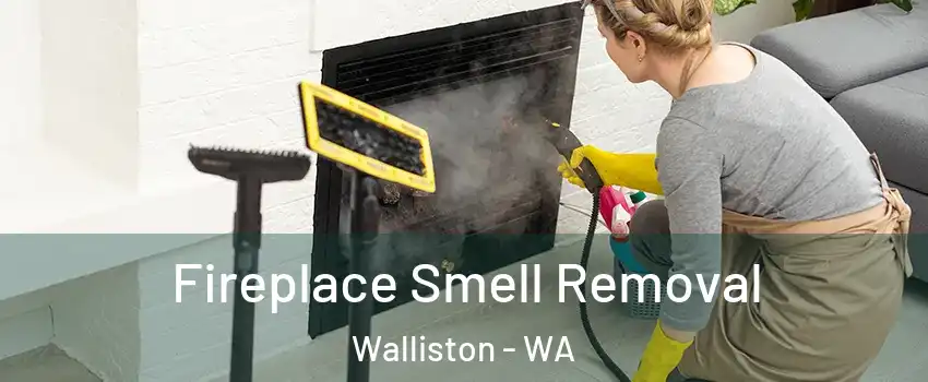 Fireplace Smell Removal Walliston - WA
