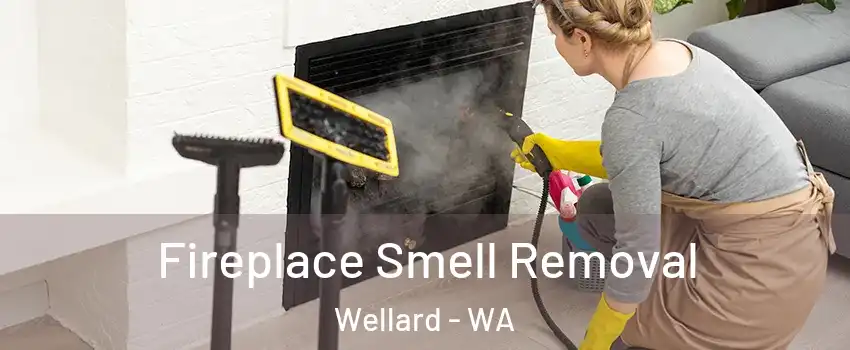 Fireplace Smell Removal Wellard - WA