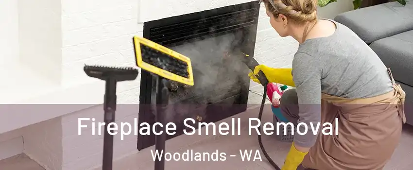 Fireplace Smell Removal Woodlands - WA