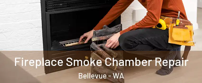 Fireplace Smoke Chamber Repair Bellevue - WA