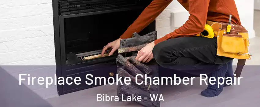 Fireplace Smoke Chamber Repair Bibra Lake - WA