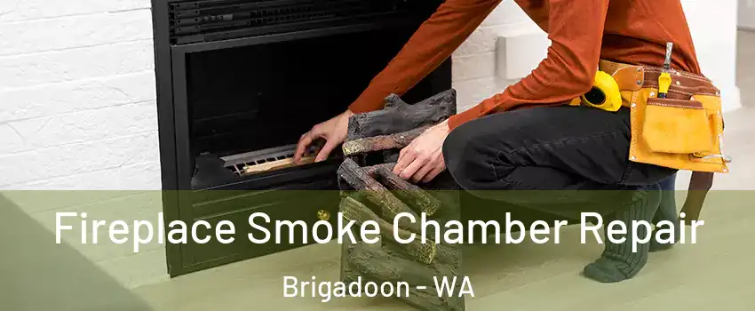 Fireplace Smoke Chamber Repair Brigadoon - WA