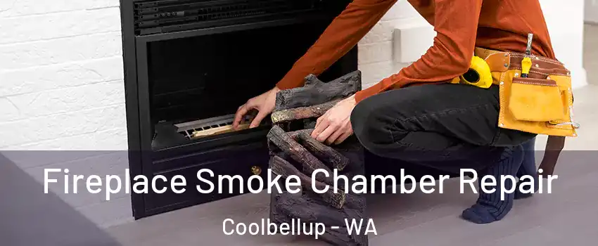 Fireplace Smoke Chamber Repair Coolbellup - WA