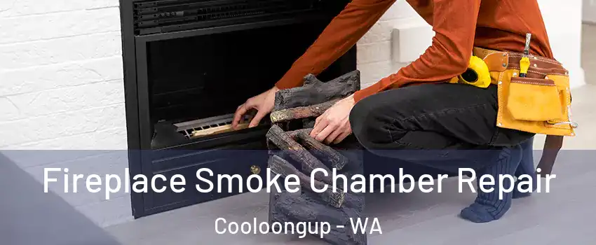 Fireplace Smoke Chamber Repair Cooloongup - WA