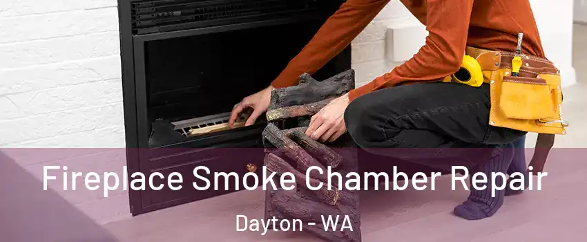 Fireplace Smoke Chamber Repair Dayton - WA