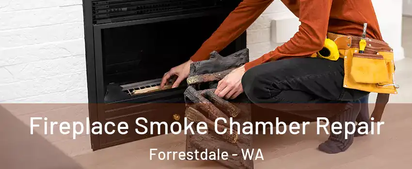 Fireplace Smoke Chamber Repair Forrestdale - WA