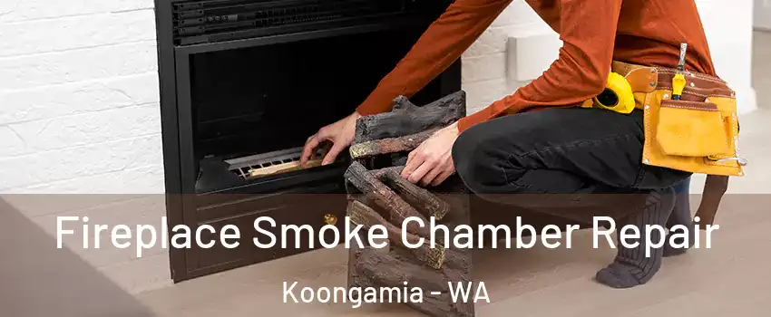Fireplace Smoke Chamber Repair Koongamia - WA