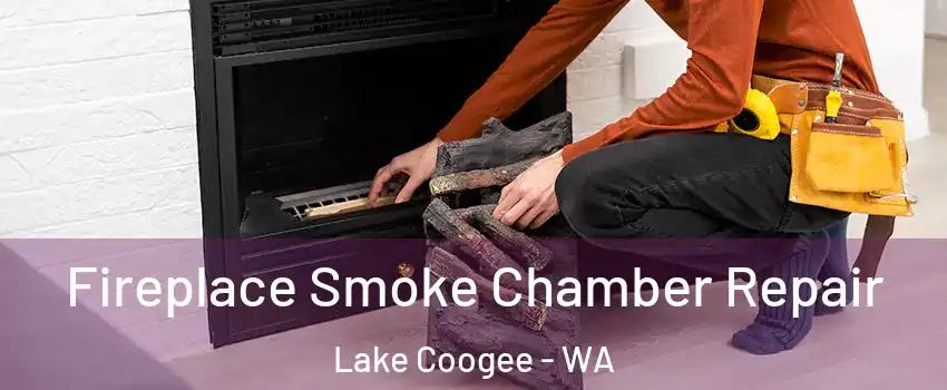 Fireplace Smoke Chamber Repair Lake Coogee - WA