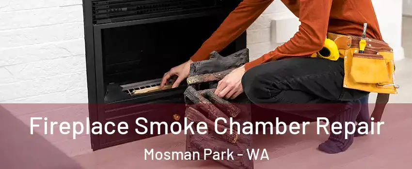 Fireplace Smoke Chamber Repair Mosman Park - WA