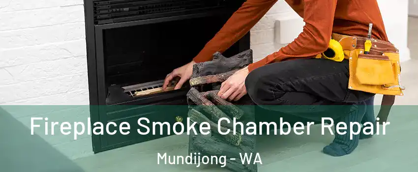 Fireplace Smoke Chamber Repair Mundijong - WA
