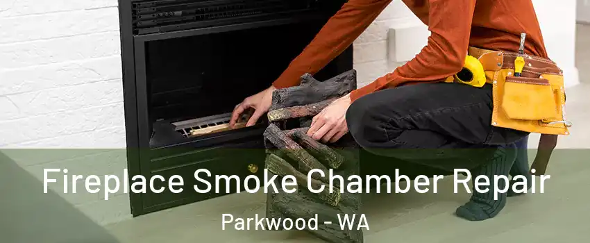 Fireplace Smoke Chamber Repair Parkwood - WA