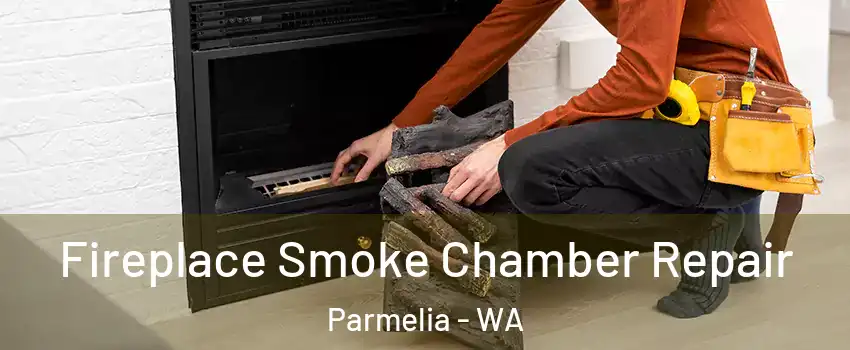 Fireplace Smoke Chamber Repair Parmelia - WA