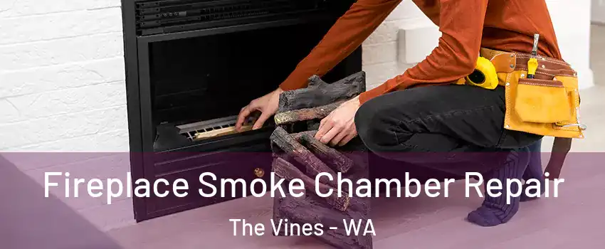 Fireplace Smoke Chamber Repair The Vines - WA
