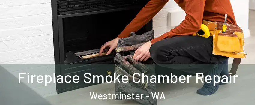 Fireplace Smoke Chamber Repair Westminster - WA