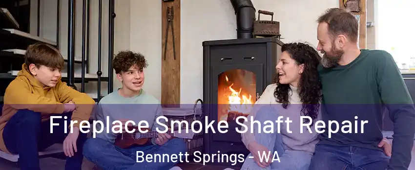 Fireplace Smoke Shaft Repair Bennett Springs - WA