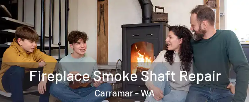 Fireplace Smoke Shaft Repair Carramar - WA