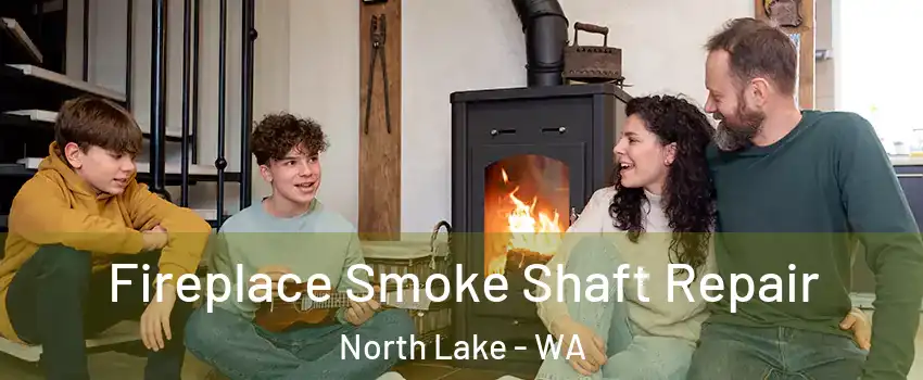 Fireplace Smoke Shaft Repair North Lake - WA