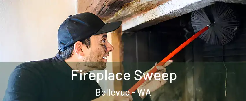Fireplace Sweep Bellevue - WA