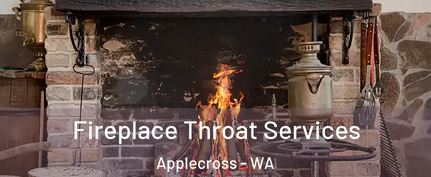 Fireplace Throat Services Applecross - WA
