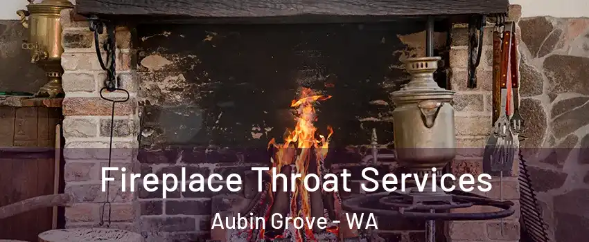 Fireplace Throat Services Aubin Grove - WA