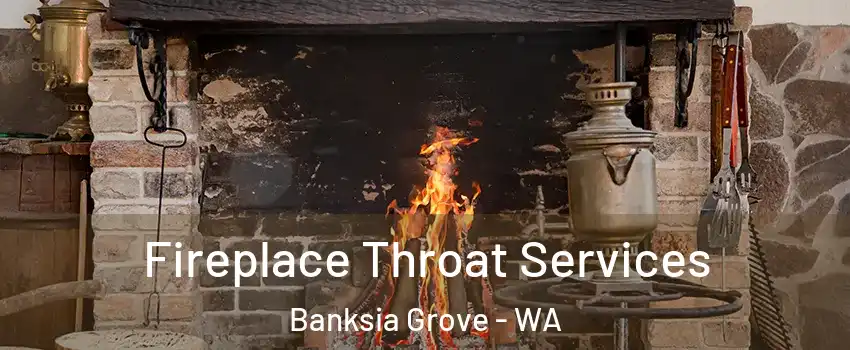 Fireplace Throat Services Banksia Grove - WA