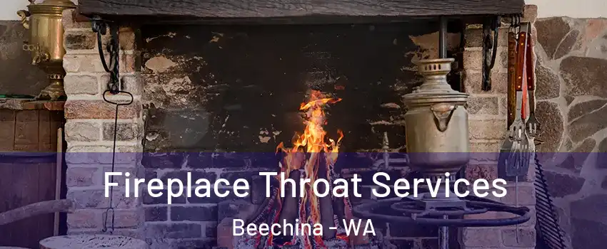 Fireplace Throat Services Beechina - WA