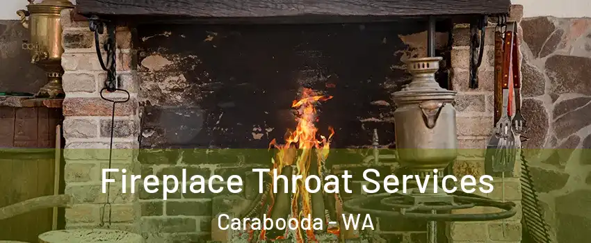 Fireplace Throat Services Carabooda - WA