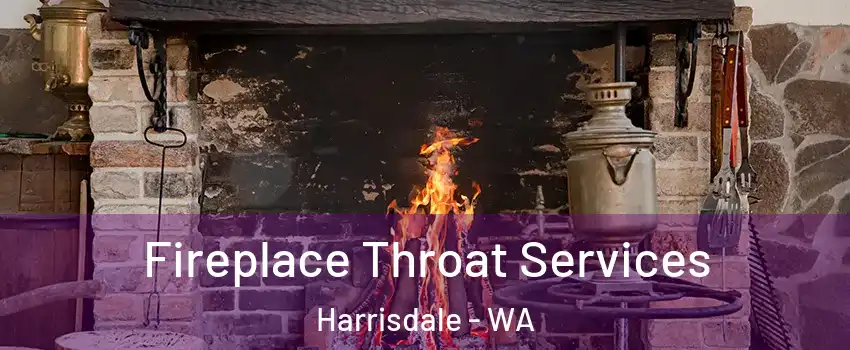 Fireplace Throat Services Harrisdale - WA