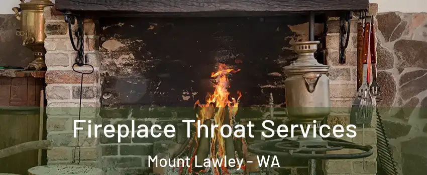 Fireplace Throat Services Mount Lawley - WA
