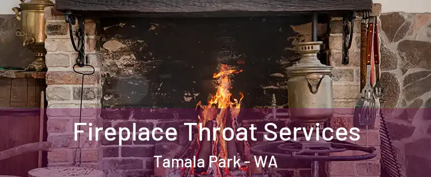 Fireplace Throat Services Tamala Park - WA