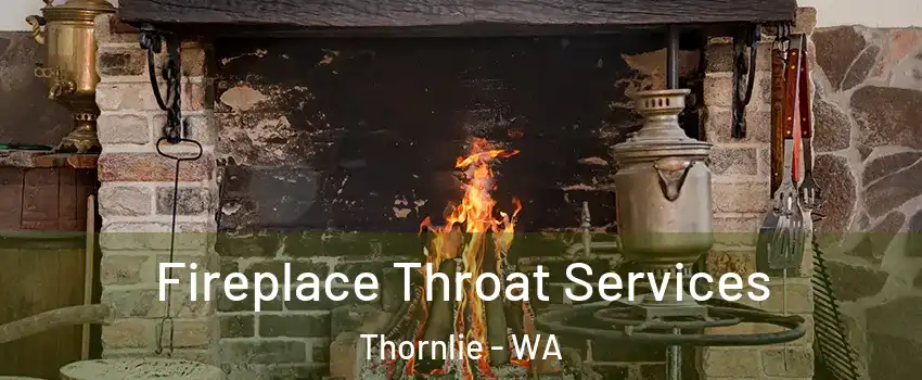 Fireplace Throat Services Thornlie - WA
