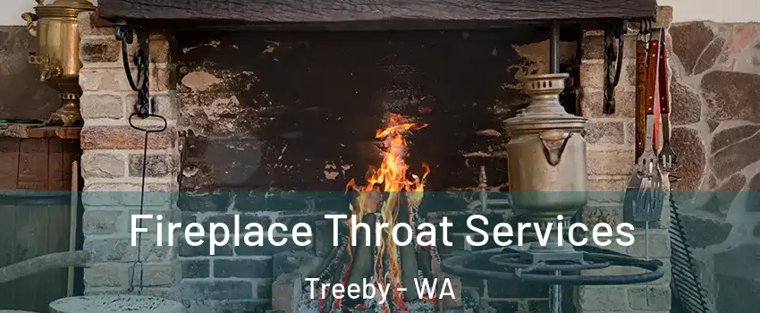 Fireplace Throat Services Treeby - WA