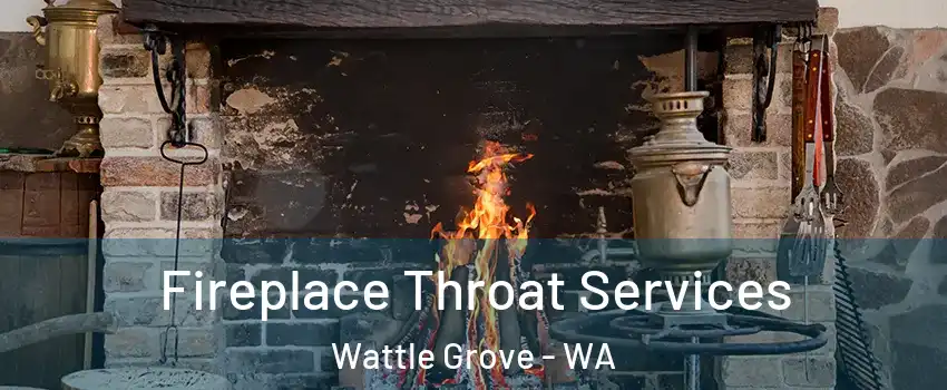 Fireplace Throat Services Wattle Grove - WA