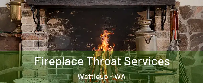 Fireplace Throat Services Wattleup - WA
