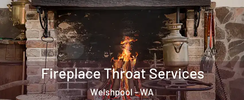 Fireplace Throat Services Welshpool - WA