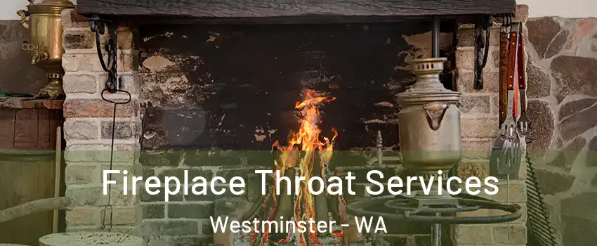 Fireplace Throat Services Westminster - WA