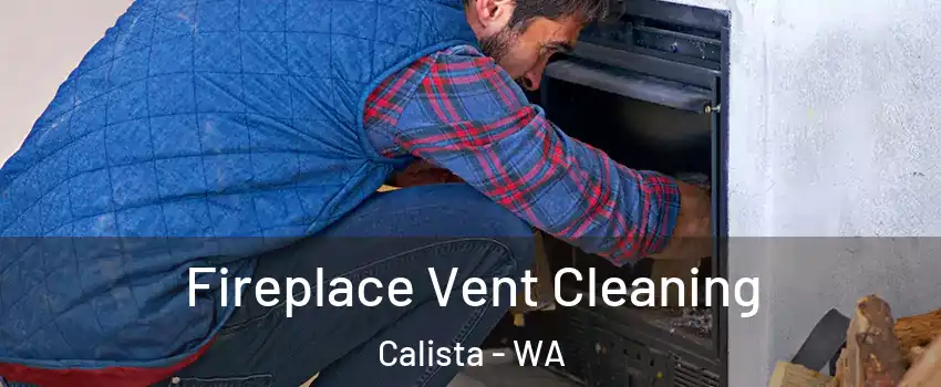 Fireplace Vent Cleaning Calista - WA
