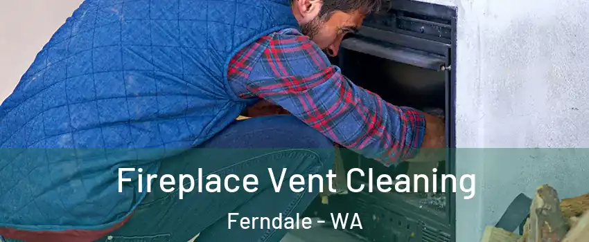Fireplace Vent Cleaning Ferndale - WA
