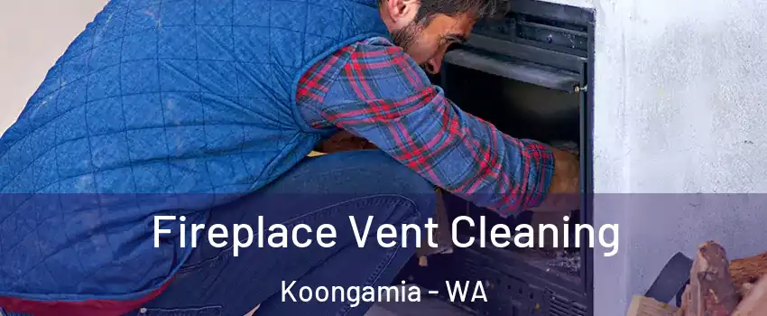Fireplace Vent Cleaning Koongamia - WA