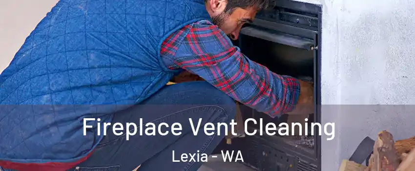 Fireplace Vent Cleaning Lexia - WA