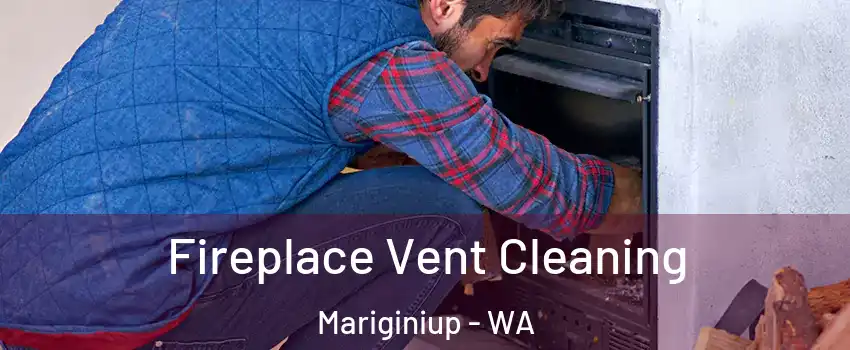 Fireplace Vent Cleaning Mariginiup - WA